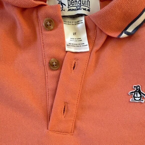 Toddler polo shirt and shorts set - Picture 3 of 3